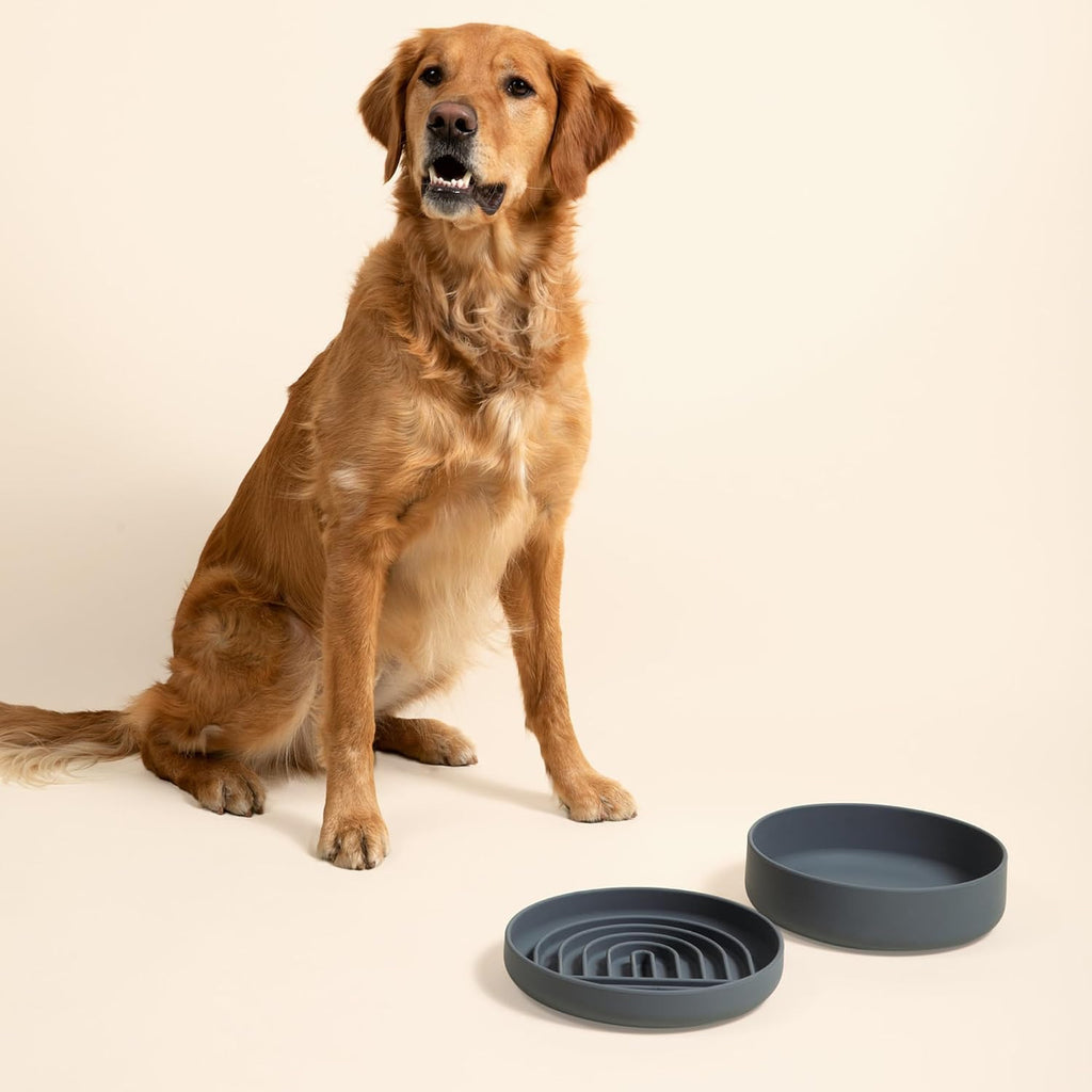 Slow Feeder Dog Bowl - Silicone Dog Bowl, Large, 9.5" x 1.5" - Charcoal