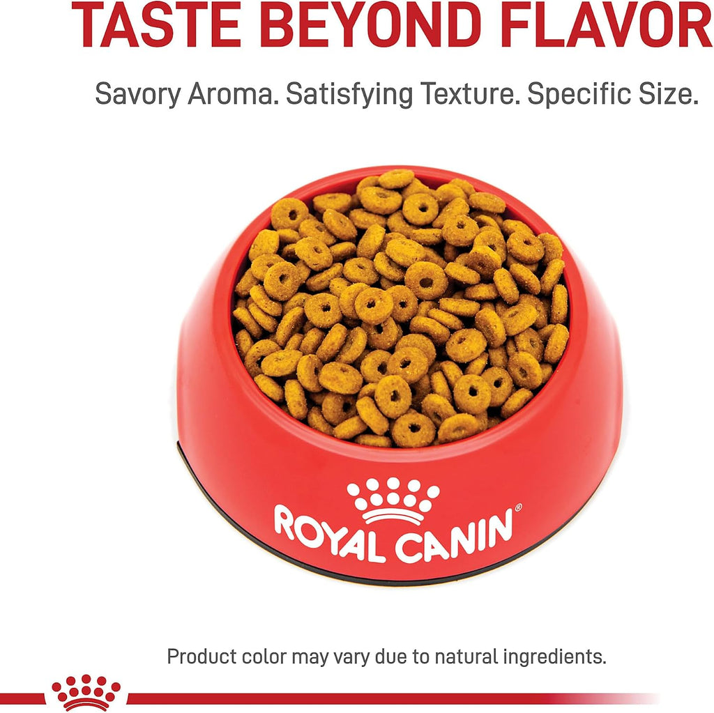 Royal Canin Feline Care Nutrition Appetite Control Care Adult Dry Cat Food, 6 lb Bag