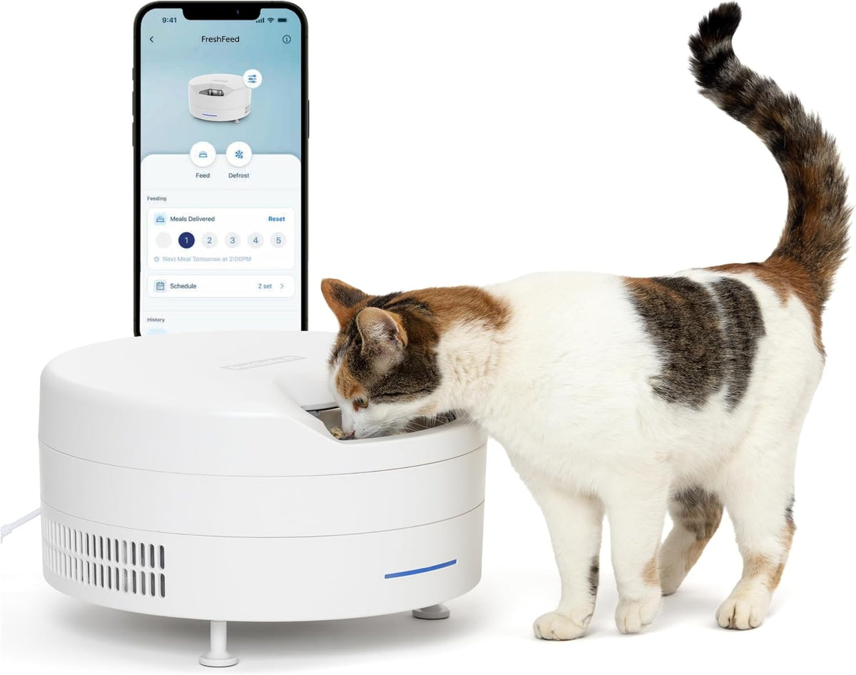 PetSafe FreshFeed Refrigerated Automatic Wet Food Feeder, 6 Meals, White
