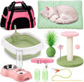 Eccliy 10 Pcs Kitten Starter Kit for Indoor, Classic, Medium, Pink Green
