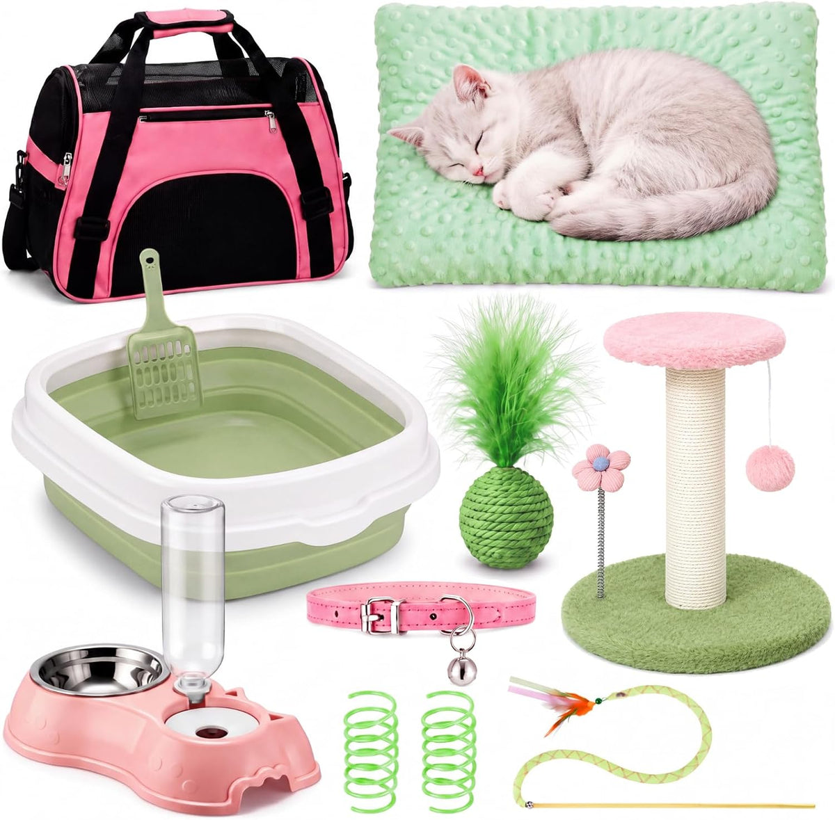 Eccliy 10 Pcs Kitten Starter Kit for Indoor, Classic, Medium, Pink Green