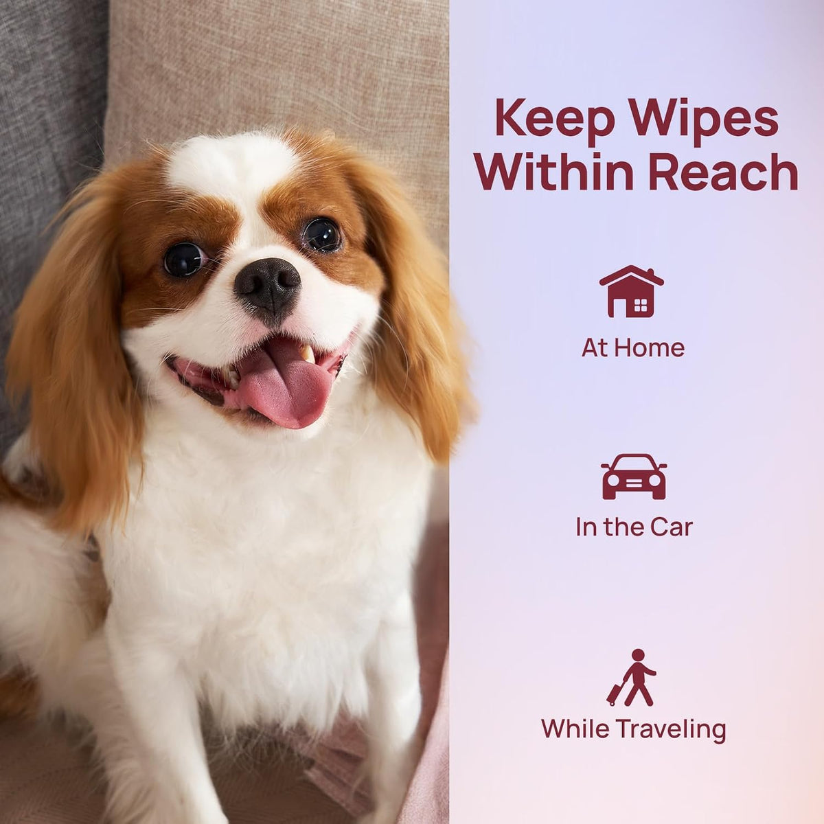 HICC PET Pet Cleaning Wipes for Dogs & Cats, Paws & Coat, 400 Count | Pearl-textured, with fermented coconut oil and Damask rose, for face and rear-end cleaning after walks or between baths