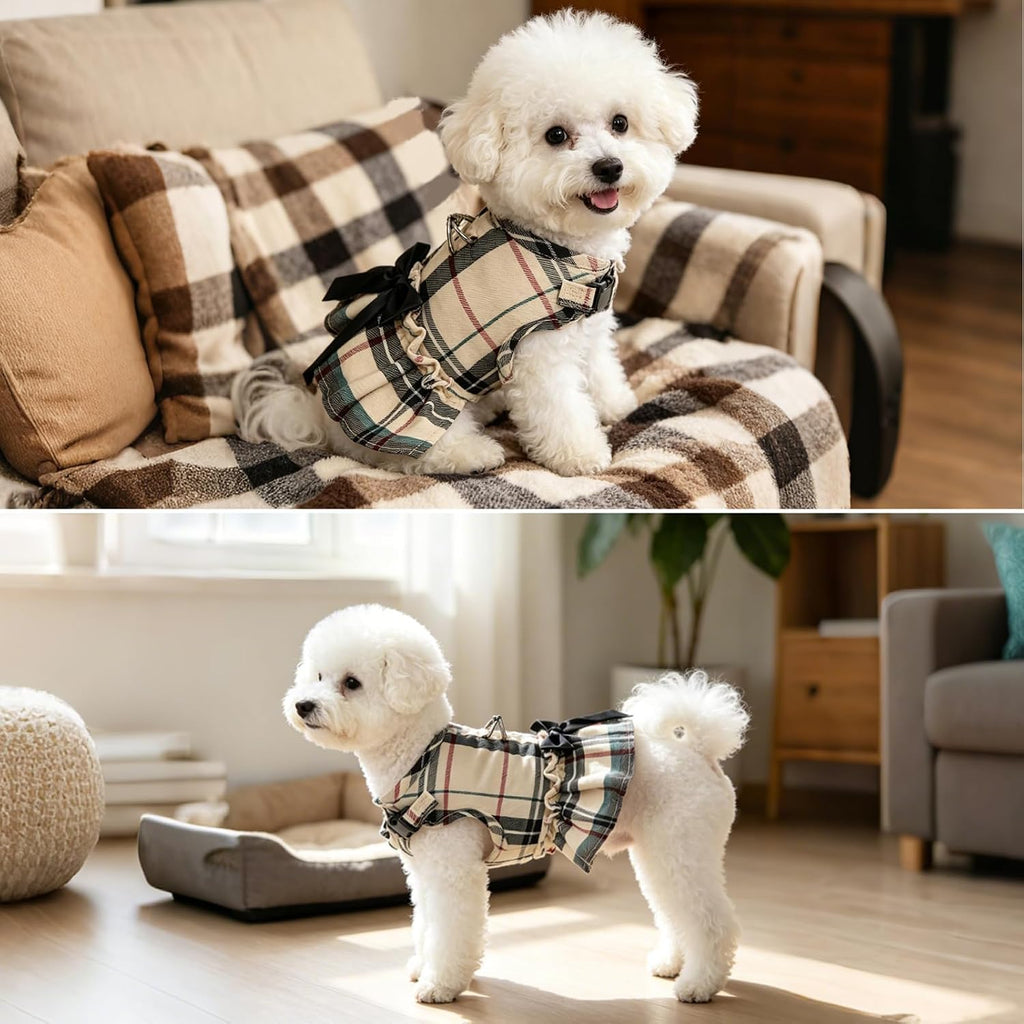 SCENEREAL Small Dog Harness and Leash Set Girl, Cute Dog Harness Dress