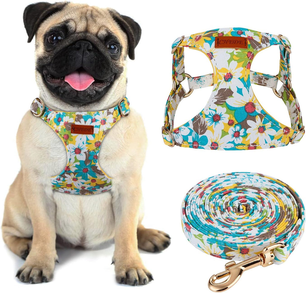 CHEDE No Pull Floral Pattern Dog Harness- Lightweight and Soft Harness, Adjustable Small Dog Harness and Leash Set, with Dog Leash, Suitable for Puppy Small and Medium-Sized Dog