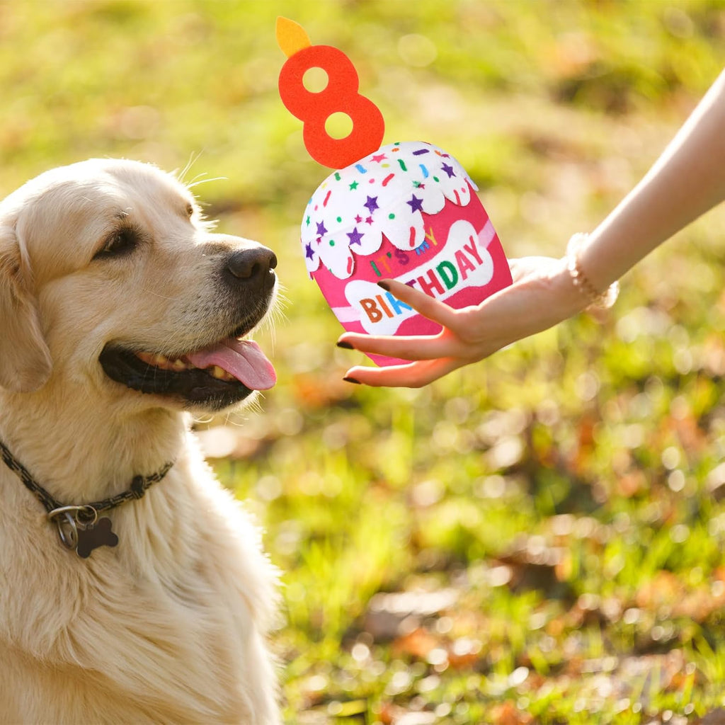 Dansydaisy Dog Birthday Cake Toy Squeaky Plush Gift,8th,Pink | Interactive Squeaky Gift for Dogs, Dog Birthday Decor , Soft Chew for Small Medium Large Pets, Cake Design with Candle
