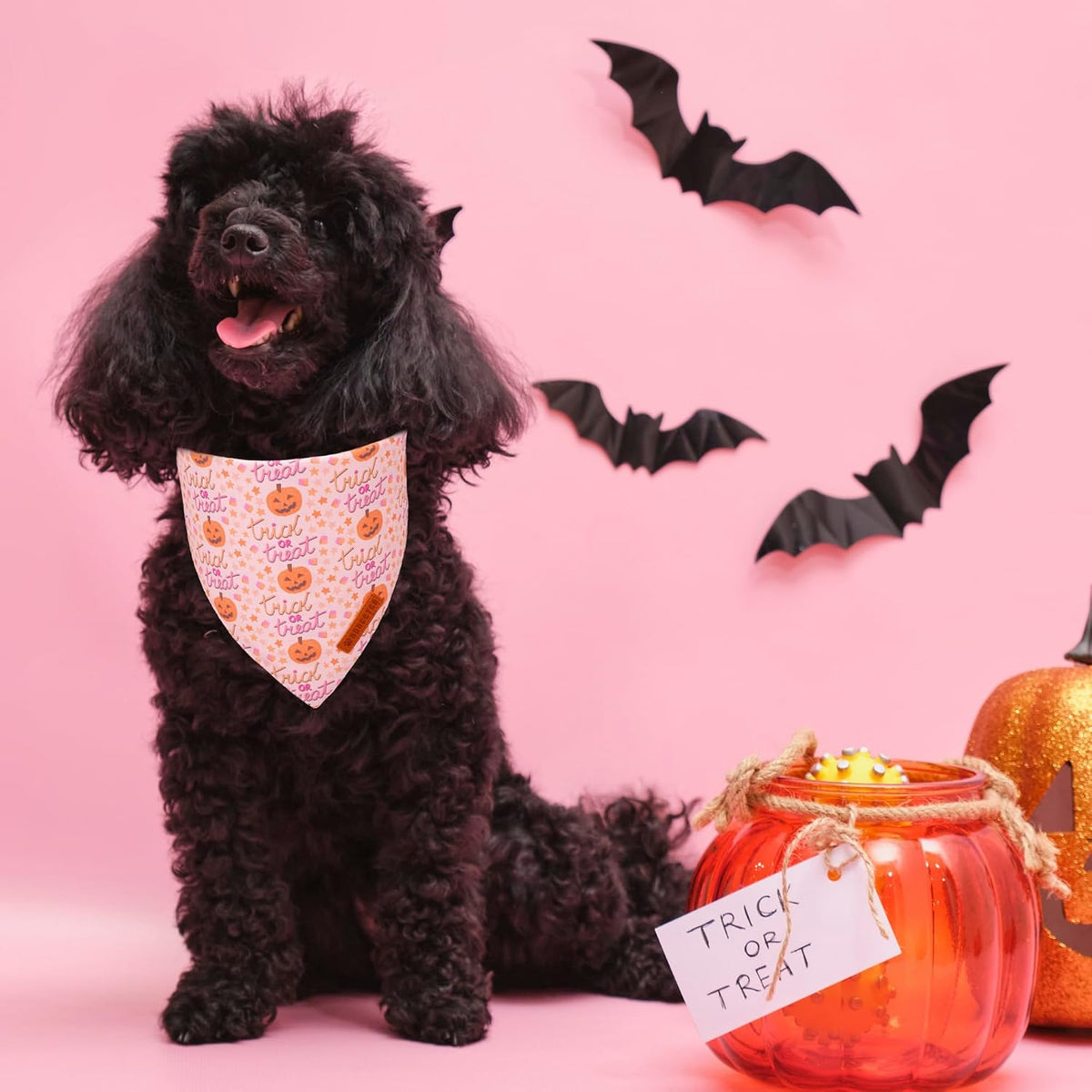 ADOGGYGO Pink Halloween Dog Bandanas Girl, Ghost Pumpkin Dog Scarf, Small