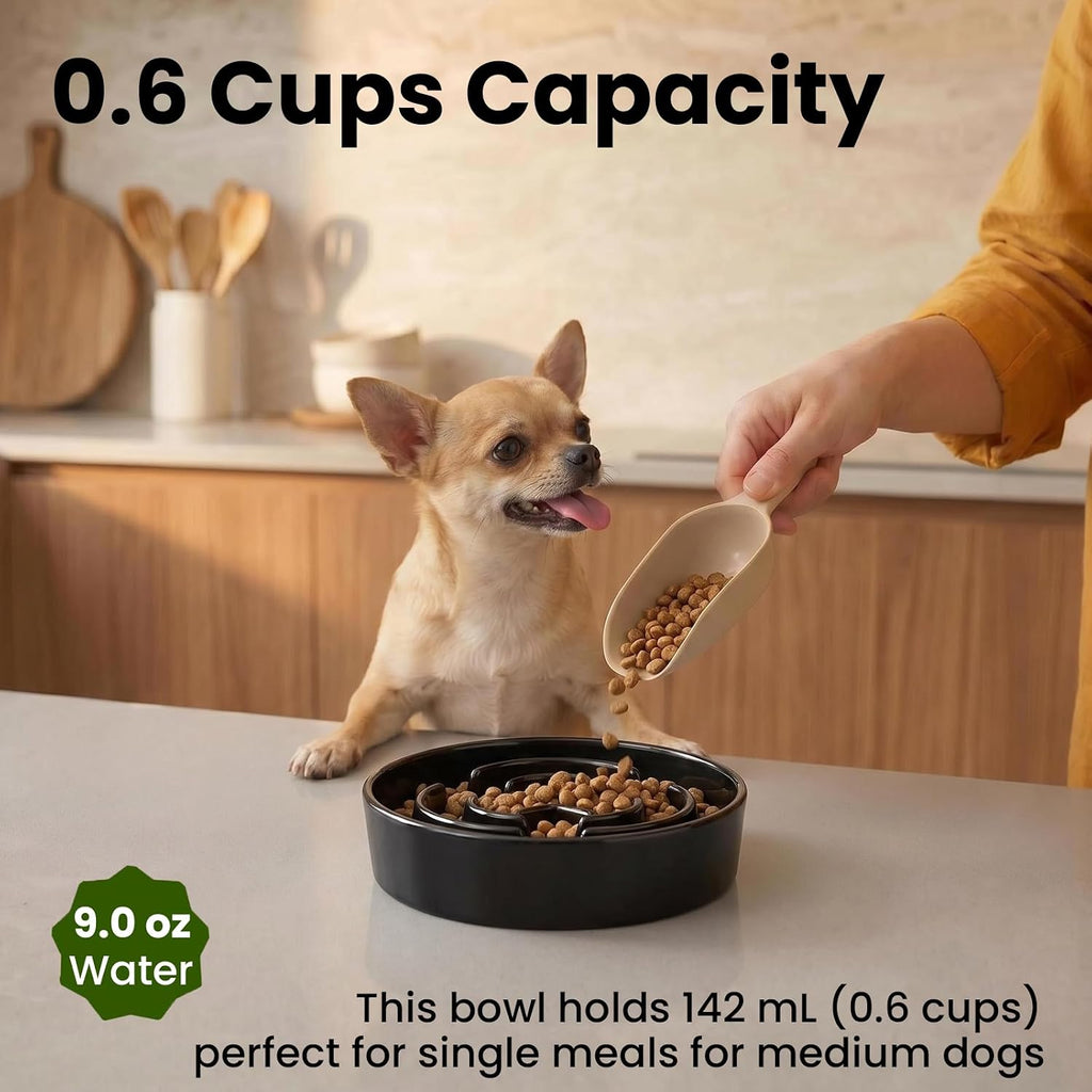 Ceramic Slow Feeder Dog Bowls 0.6 Cups for Small Fast Eaters,White