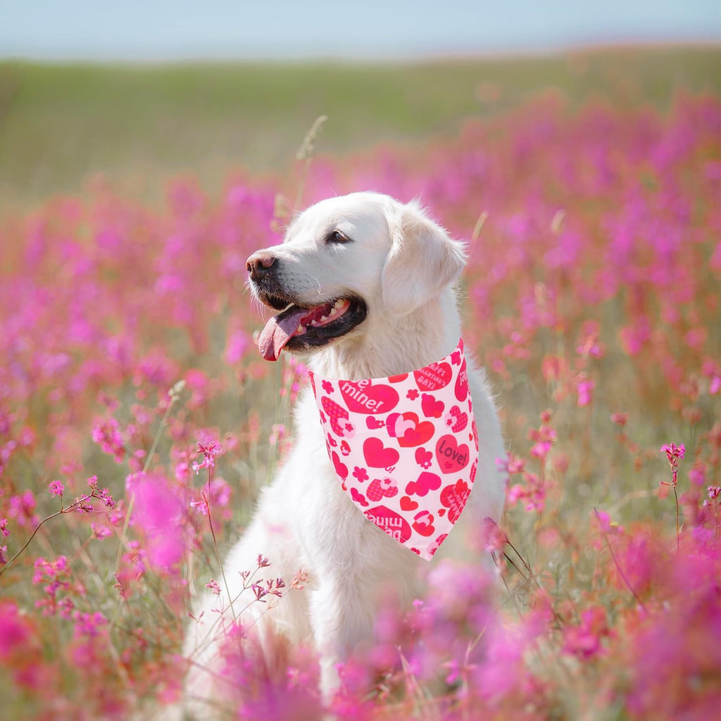 ADOGGYGO 4 Pack Valentine Dog Bandana Triangle Pet Scarf Red Pink Heart Pattern Valentine Bandanas for Large and Extra Large Dogs Pets (X-Large)