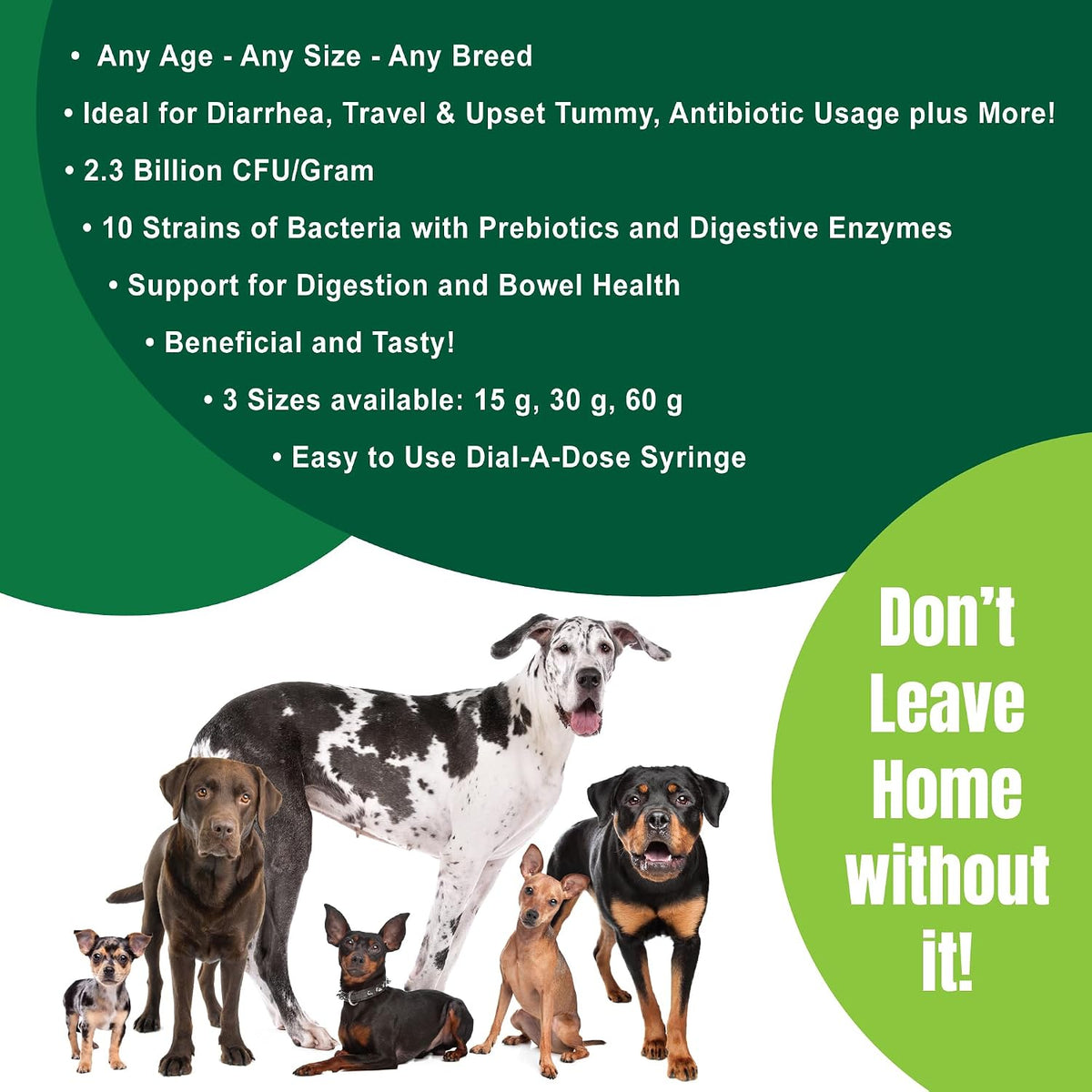 Dogzymes Canine Probiotic Paste Beneficial Bacteria-Enzyme 2.3 Billion CFU/gm Saccharomyces boulardii Organic Dried Honey Powder (60 Gram)
