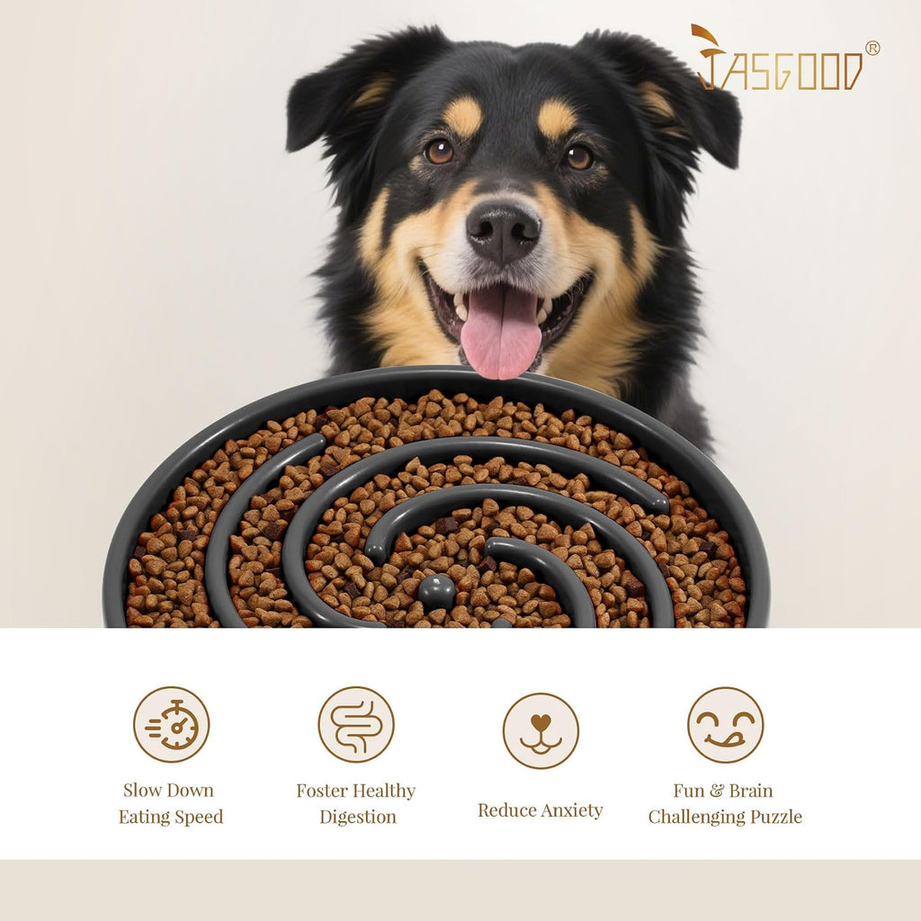 JASGOOD Slow Feeder Bowl for Large Dogs, Anti-Gulping, Prevents Bloat & Choking 