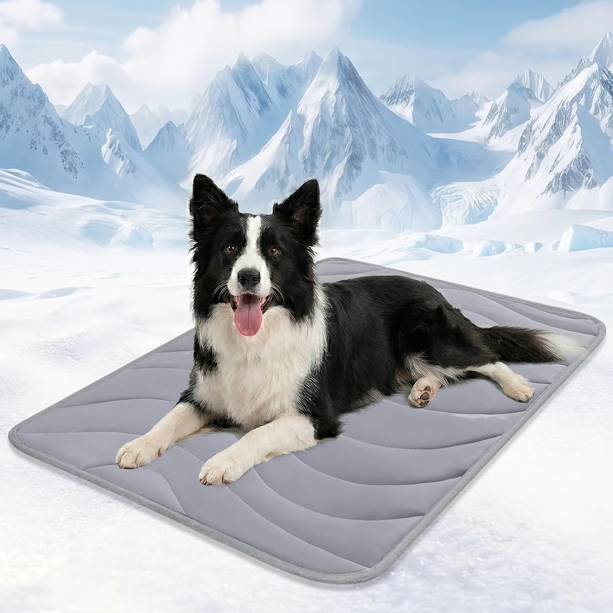 Cozyide Dog Cooling Mat, Q-Max>0.45, 40 L x 28" W, Dark Grey