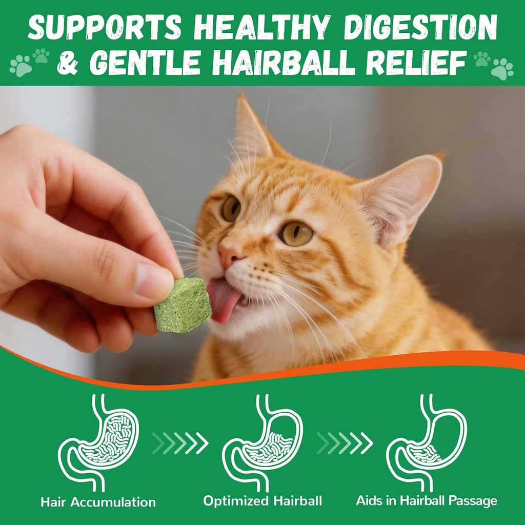 Cat Grass Treats for Indoor Cats, 60g Freeze-Dried Cat Teeth Cleaning Treats - Feline Grass Treаts for Hairball Control and Digestive Support with Probiotics & Prebiotics, Chicken Flavor