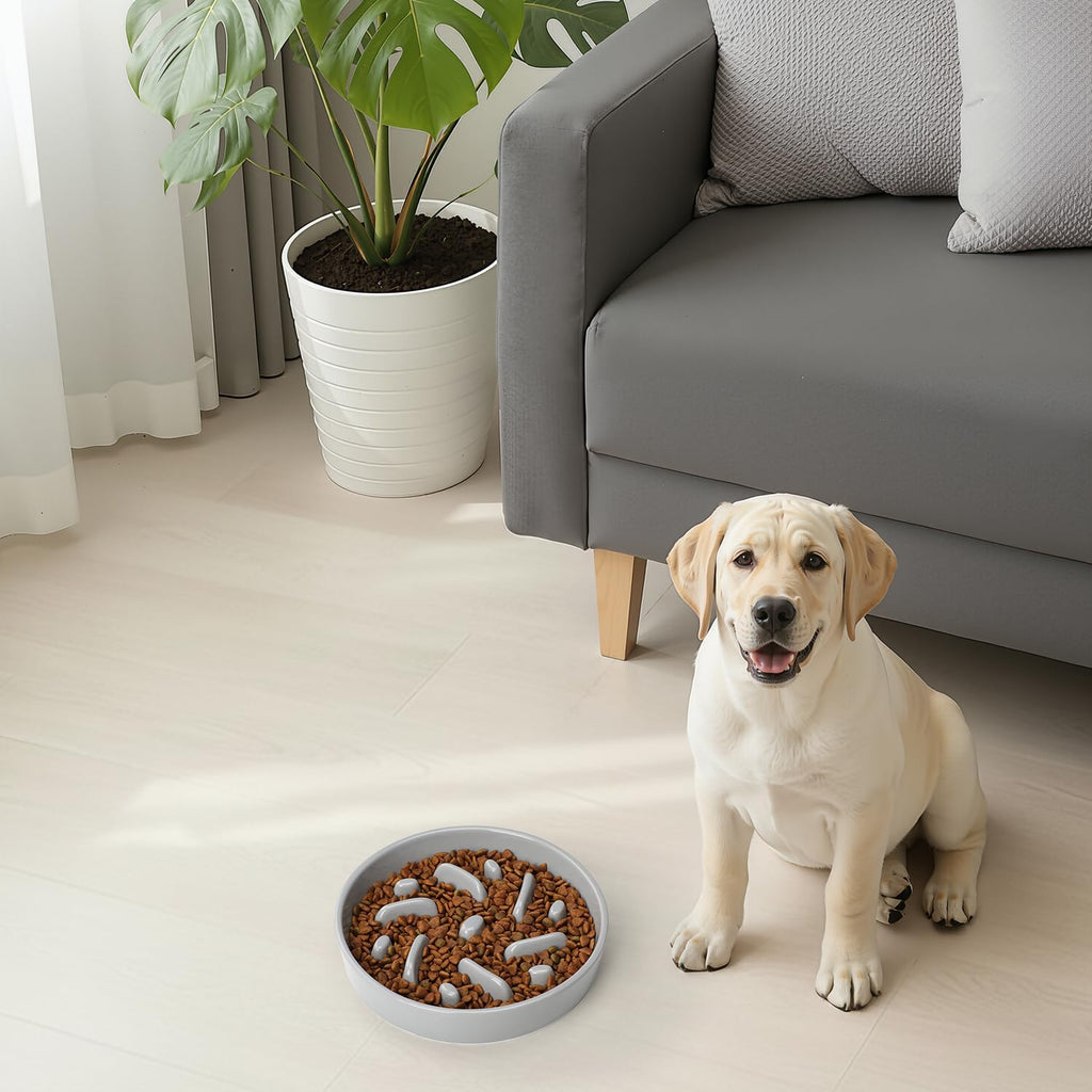 Ceramic Slow Feeder Dog Bowl, 2 Cups Maze Puzzle Dish to Slow Down Eating