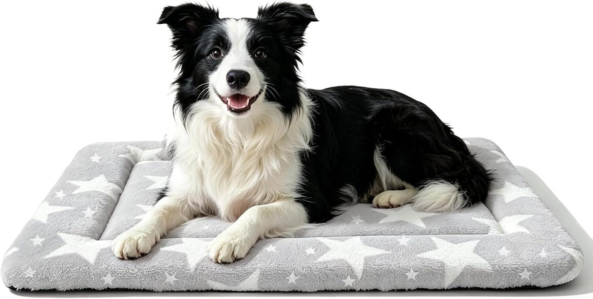 Dog Bed Mat, Reversible Crate Pad & Cute Dog Bed - Machine Washable Kennel Mat with Ultra Soft (Big&Small Stars Gray, 30" L*20" W*1.5" Th)
