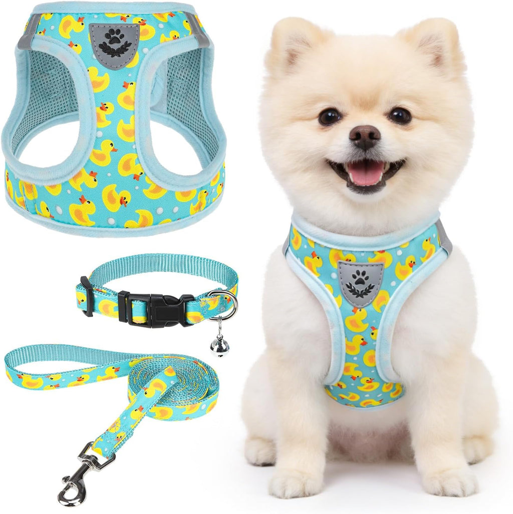 SCENEREAL Small Dog Harness Collar and Leash Set,Cute Puppy Harness No Pull
