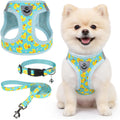 SCENEREAL Small Dog Harness Collar and Leash Set,Cute Puppy Harness No Pull