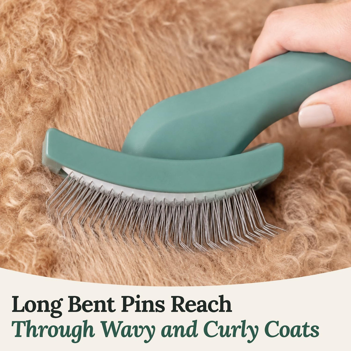Freshly Bailey Doodle Brush, Large Slicker Brush for Dogs, Wood Handle
