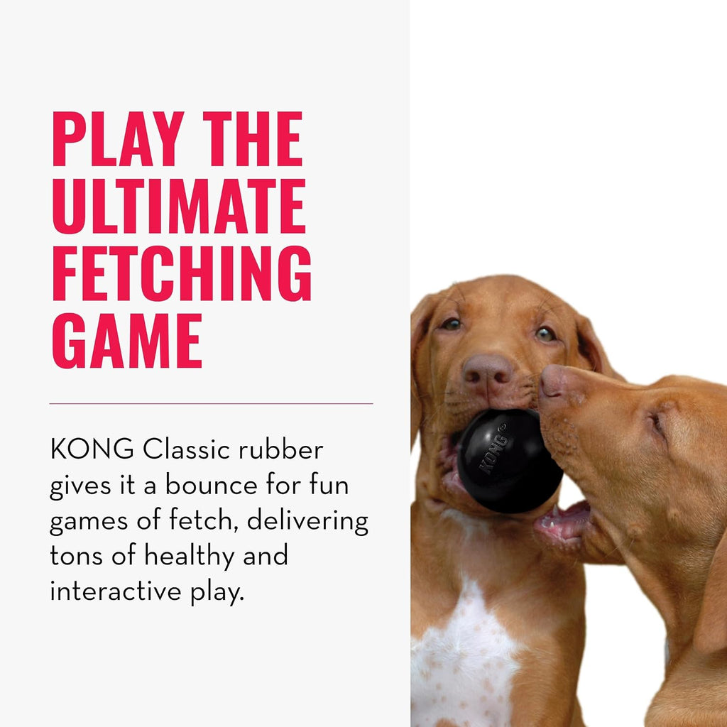KONG Extreme Ball, Indestructible Rubber Dog Ball, for Small Dogs | Heavy-Duty Indestructible Rubber Ball Built for All-Day Fetch & Chase, Made for Tough, Active Outdoor Play