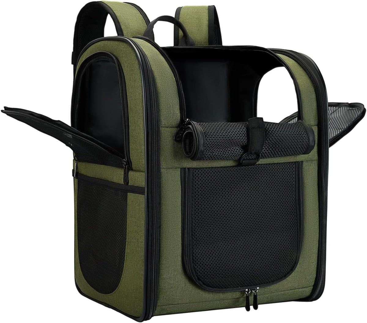 Apollo Walker Cat Backpack Carrier, Support Frame, 16 lb Weight Capacity