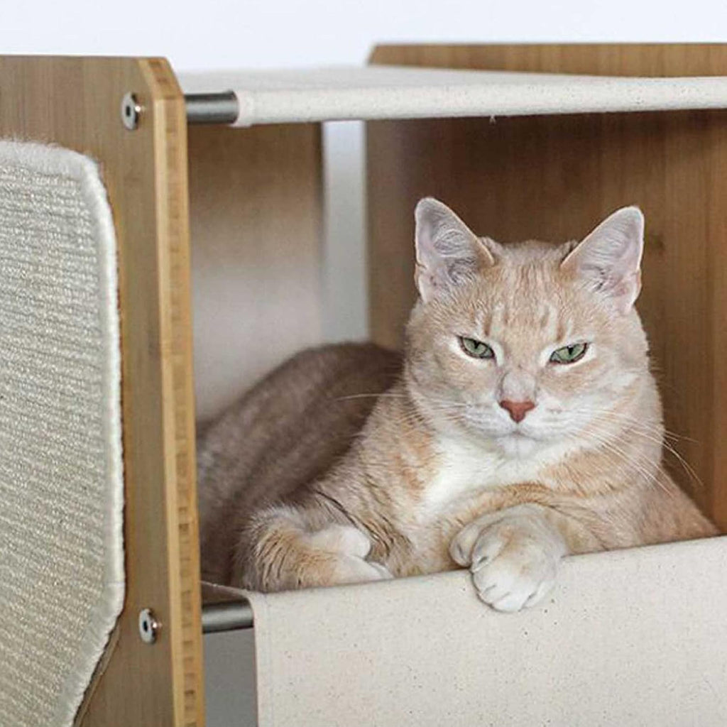 Catastrophic Creations The Grotto Cat Condo – Includes Cat Shelves, Cat Scratcher Poles & Cat Hammocks – Cat Activity Trees w/3 Seclusions – Lounging & Scratching Cat Tower for Indoor Cats