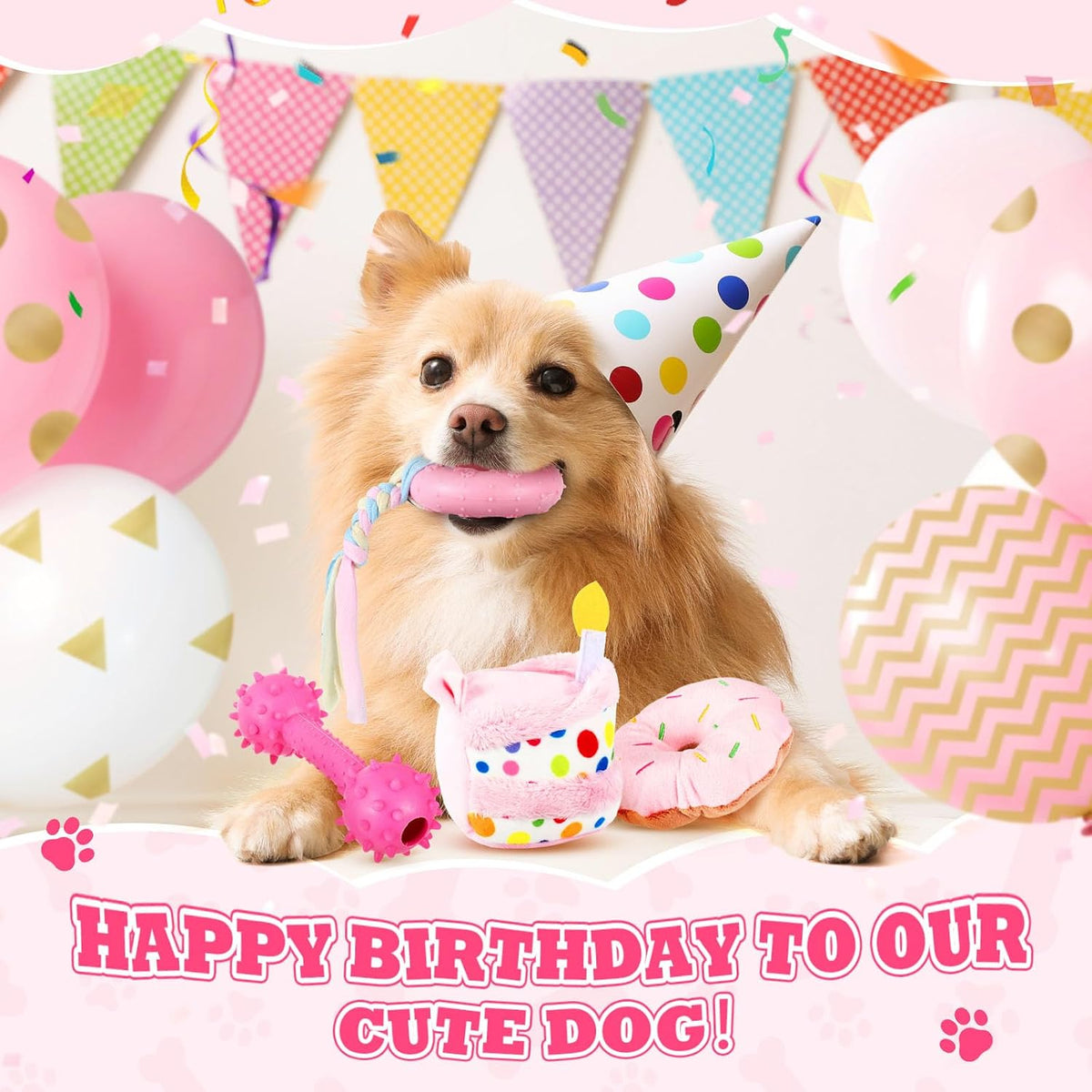 RoundFunny 11 Pcs Dog Birthday Toys Gift with Box, Classic, Pink