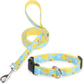 Dog Collar and Leash Set, Adjustable Pet Collars with 5FT Leash