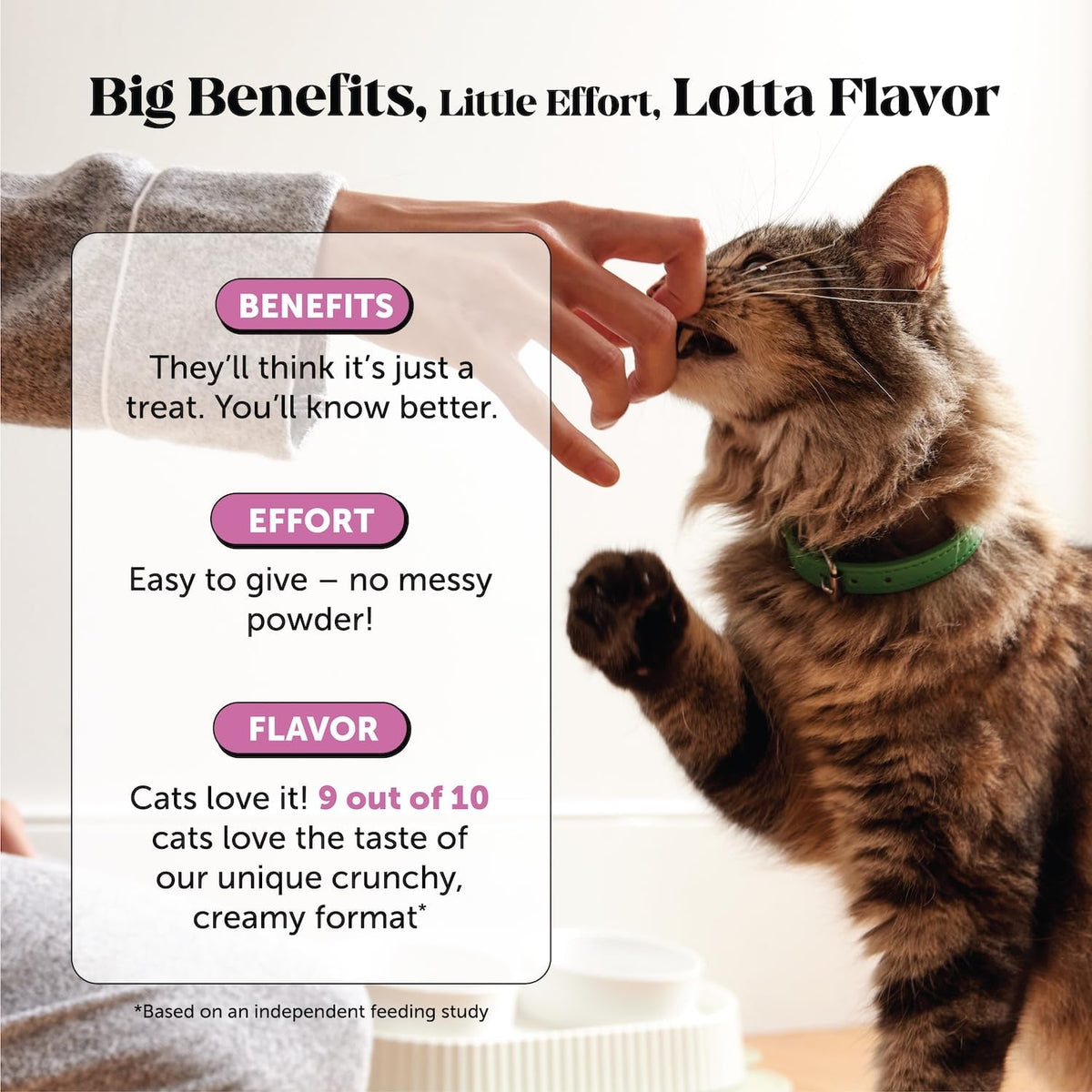 Pet Honesty Vet Backed Cat Multivitamin, Chicken, 30-Day Supply