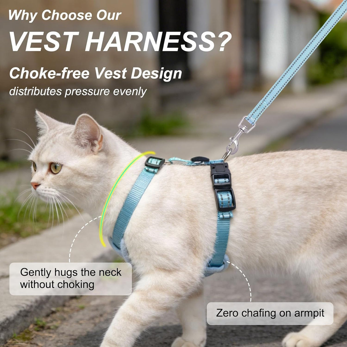 BEAUTYZOO Cat Harness and Leash Set, Escape Proof and Adjustable, Blue