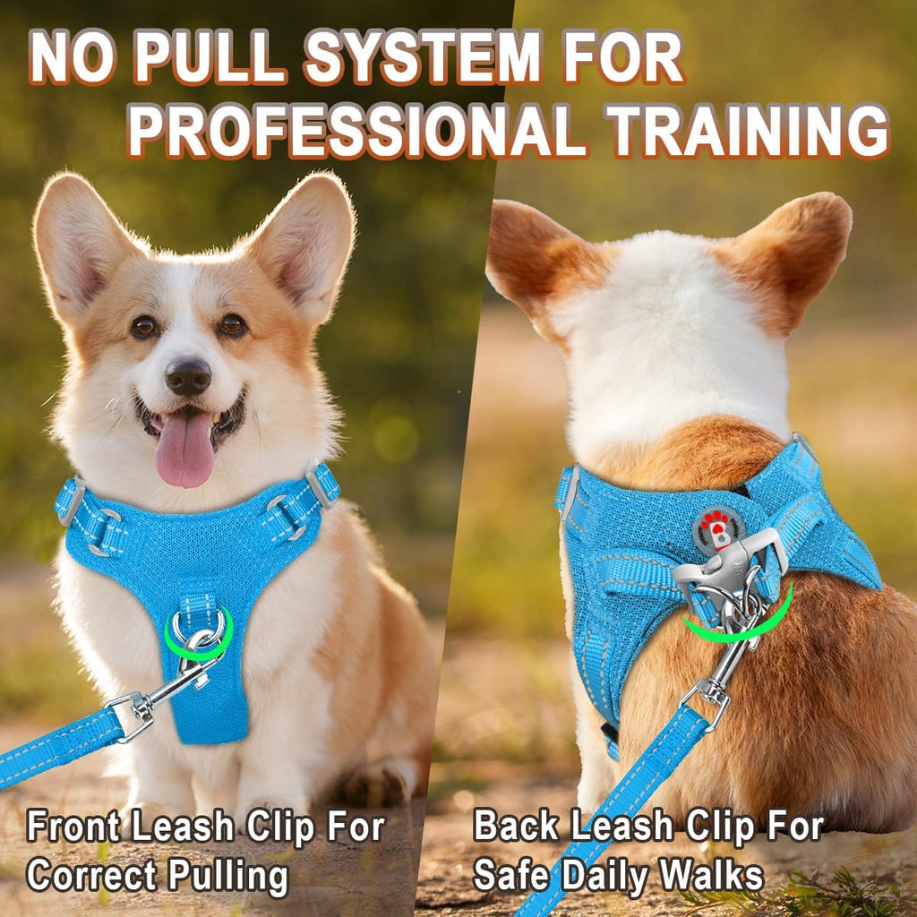 BARKBAY Small Dog Harness,No Pull Puppy Harness,Step-in Dog Vest