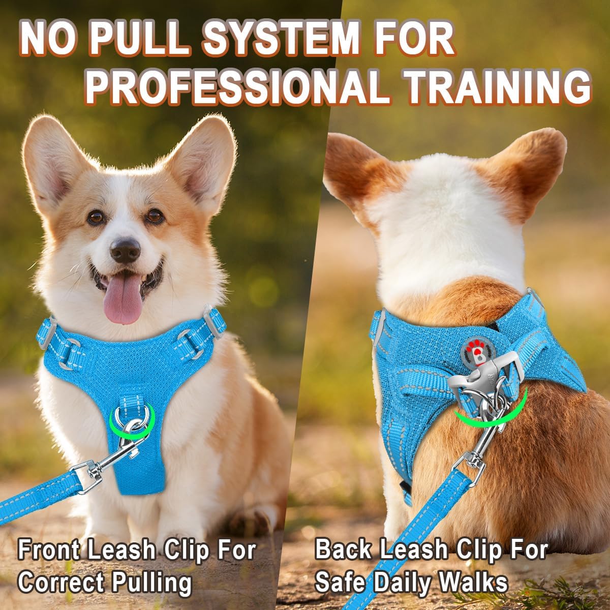BARKBAY Small Dog Harness,No Pull Puppy Harness,Step-in Dog Vest