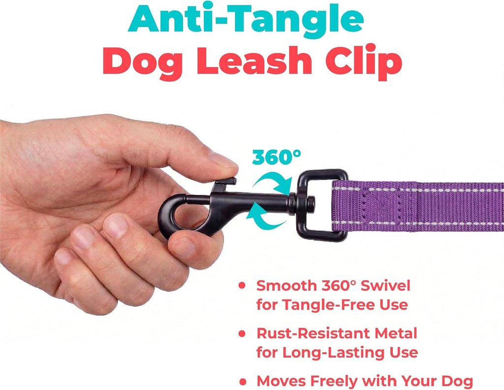 Best Pet Supplies Voyager Nylon Dog Leash - Purple, Small