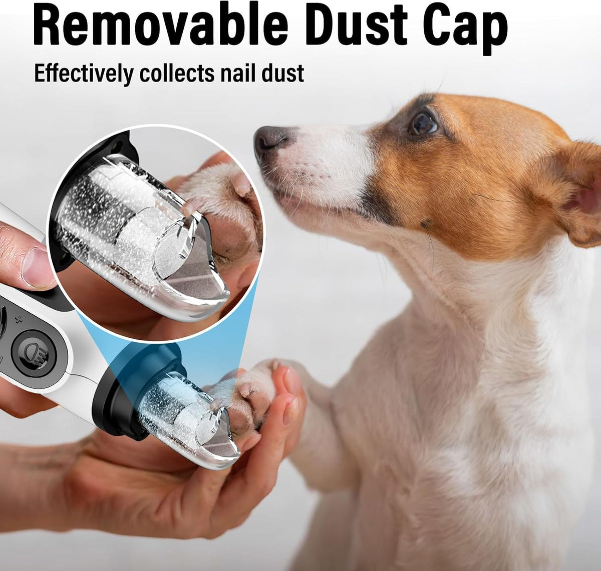 Casfuy Smart 6-Speed Dog Nail Grinder with LED Lights Safe for All Dogs Cat