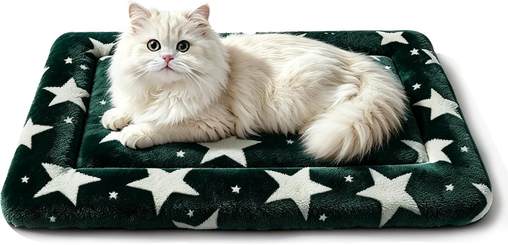 Dog Bed Mat, Reversible Crate Pad & Cute Dog Bed - Machine Washable Kennel Mat with Ultra Soft (Big&Small Stars Green, 18" L x 14" W x 1.5" Th)