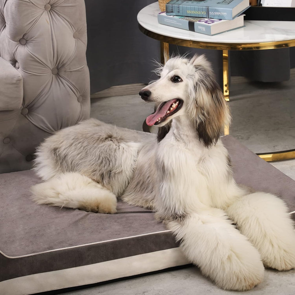Laifug Orthopedic Dog Beds for Large Dogs,4.5" Memory Foam Dog Beds,Durable Water Proof Liner Removable and Washable, Nonskid Bottom, Grey 46"x28"x8"