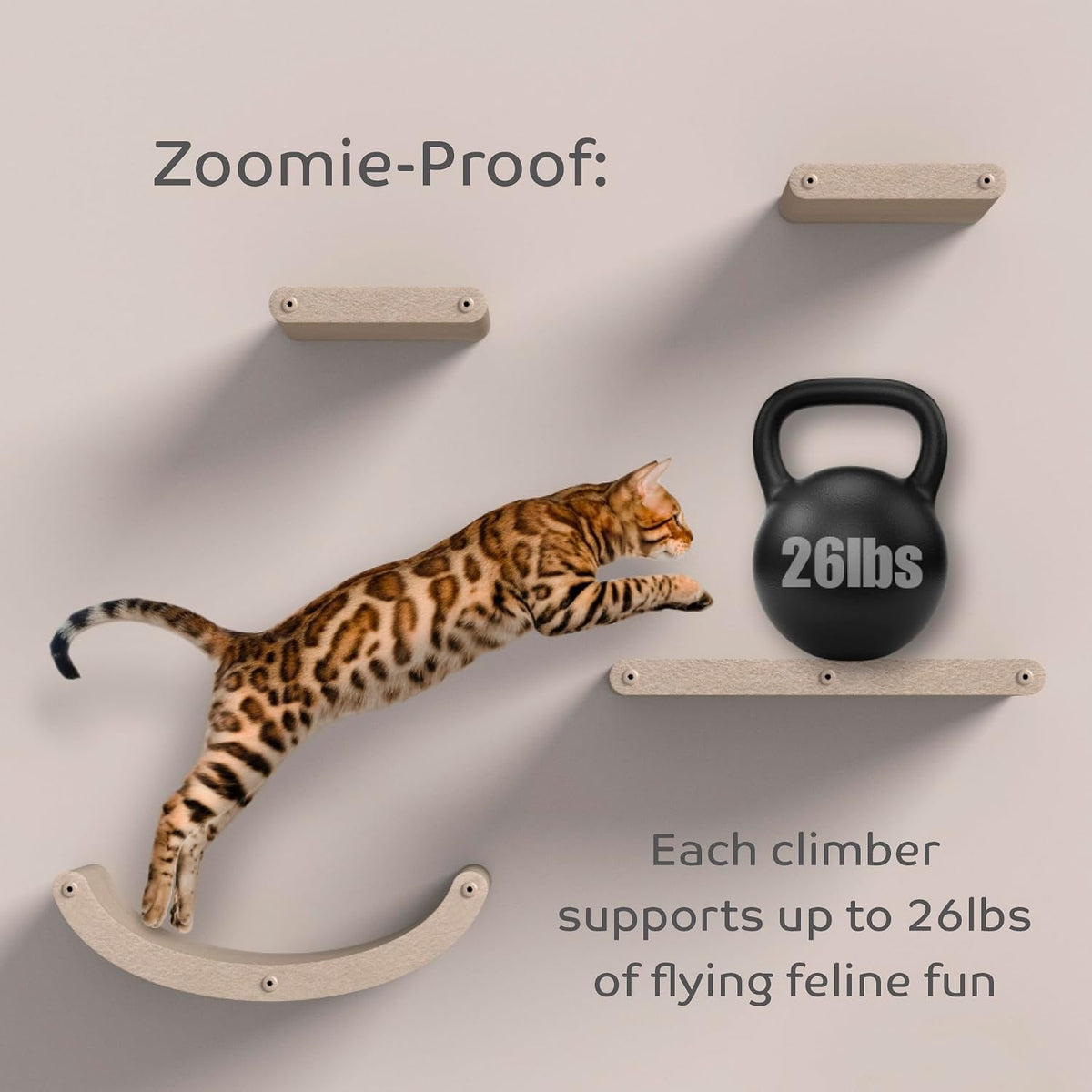 Cat Wall Shelf (Curved) - Indoor & Outdoor by Pryde Pets