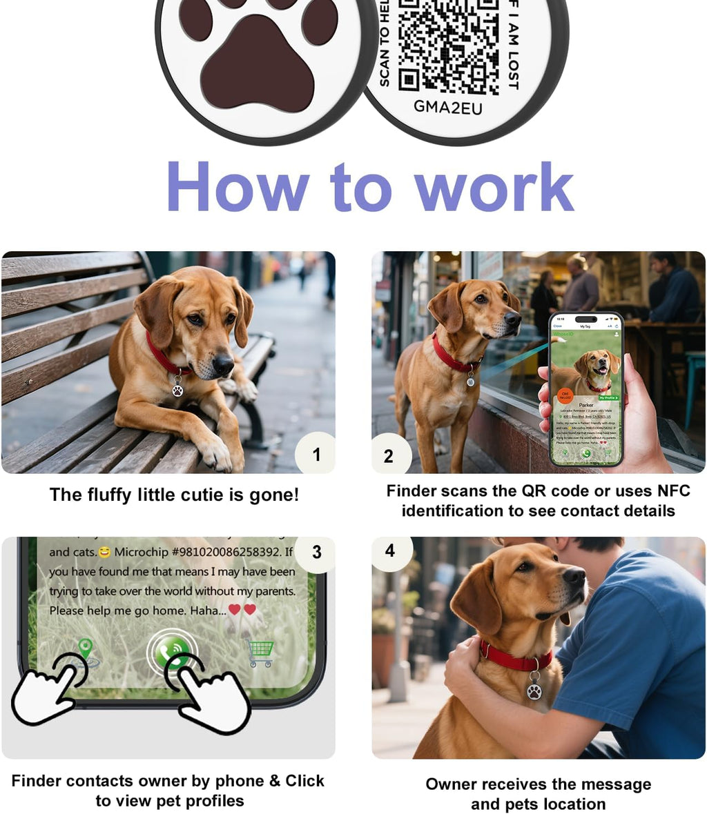 QR Code Cat Tag, Modifiable Pet Online Profile, Multiple Emergency Contact, Scannable QR Code, Instant Location Email Alert (Small Breeds - 1", Black & Rose & Purple)
