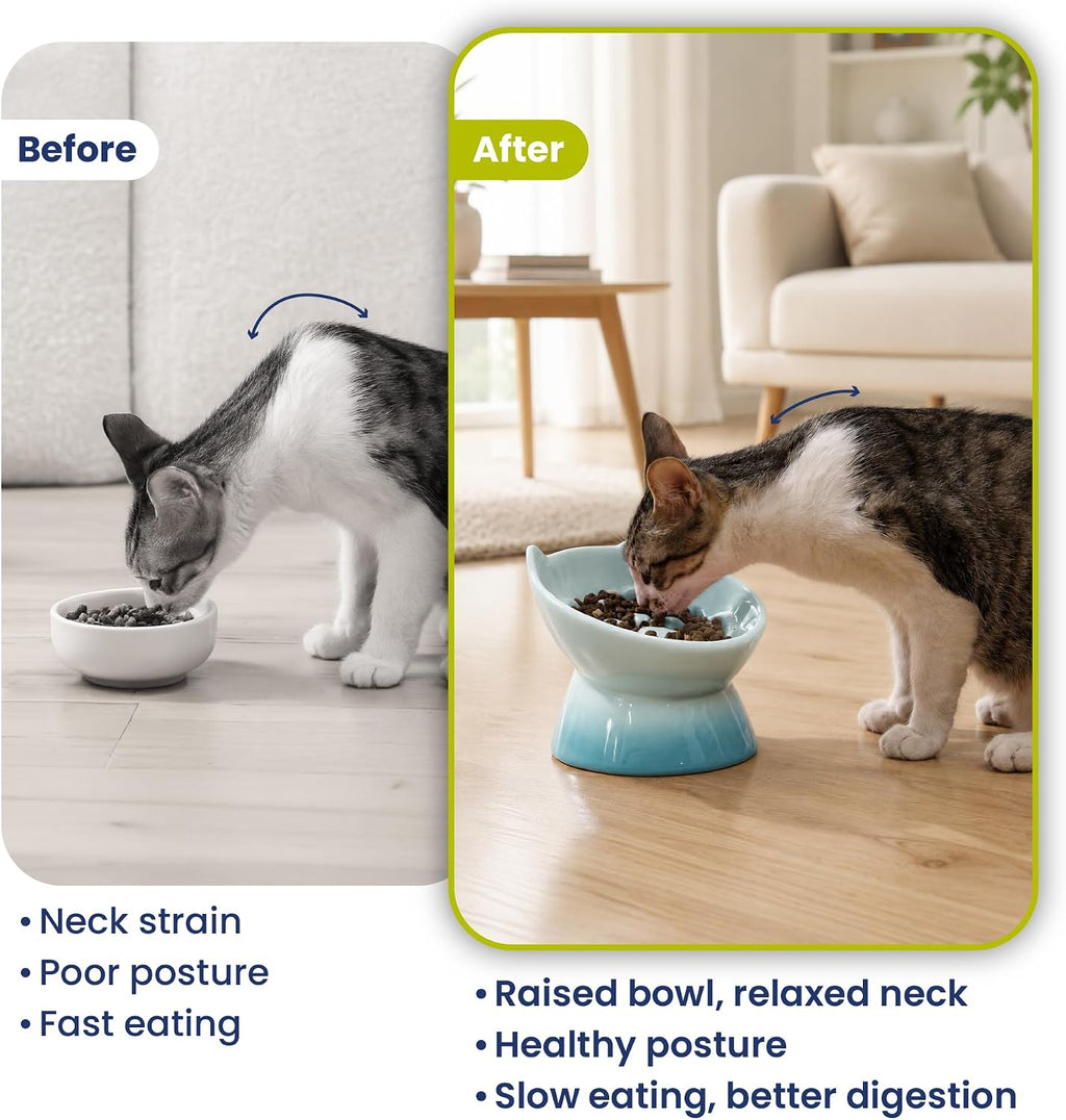 PawsPik Lynx Ceramic Raised Slow Dog & Cat Elevated Food Bowl, Arctic Ombre