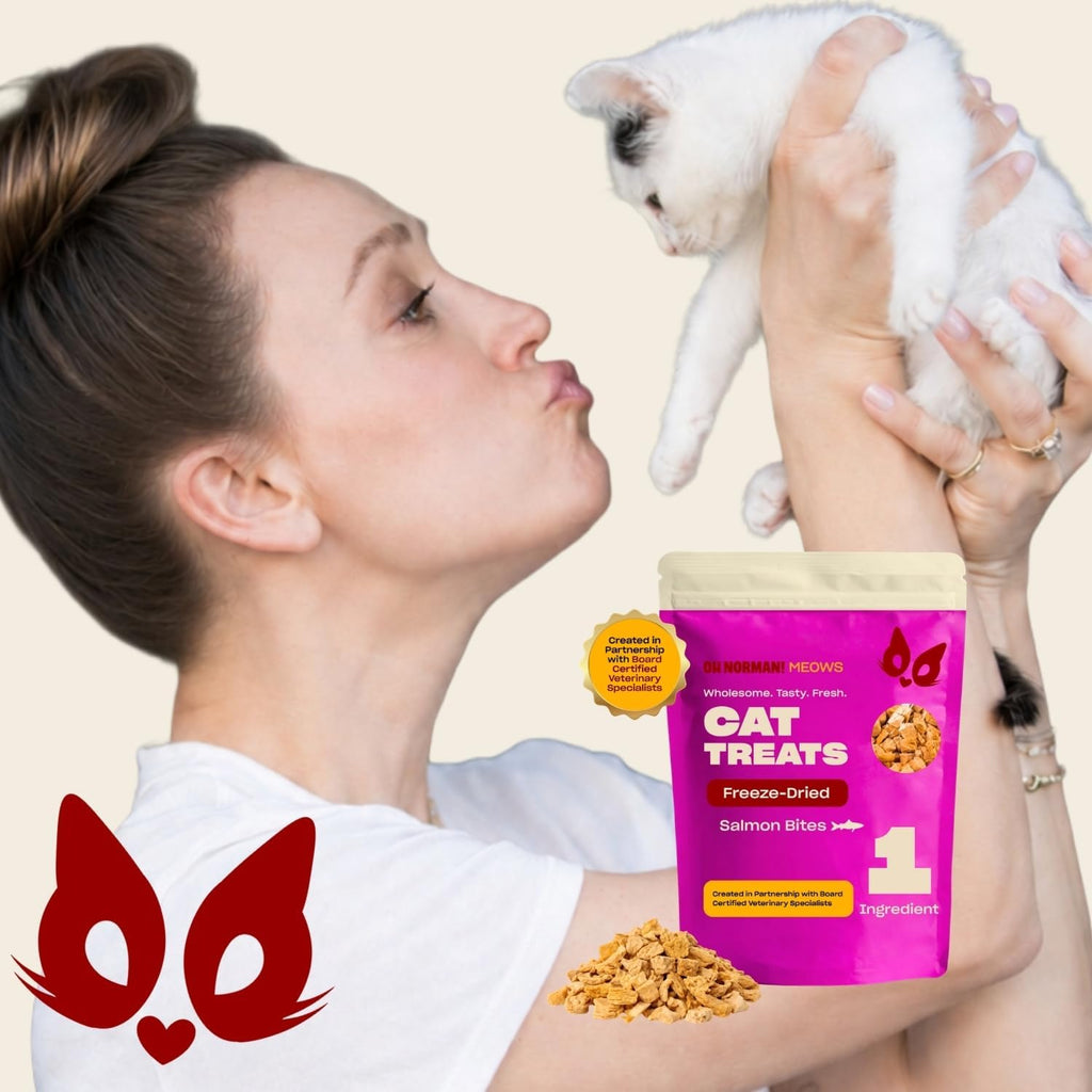 Oh Norman! Salmon Freeze Dried Treats for Cats - Crunchy & High Protein