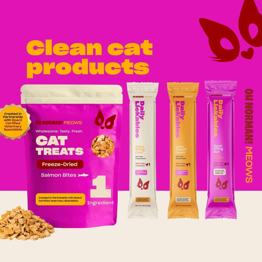 Oh Norman! Salmon Freeze Dried Treats for Cats - Crunchy & High Protein