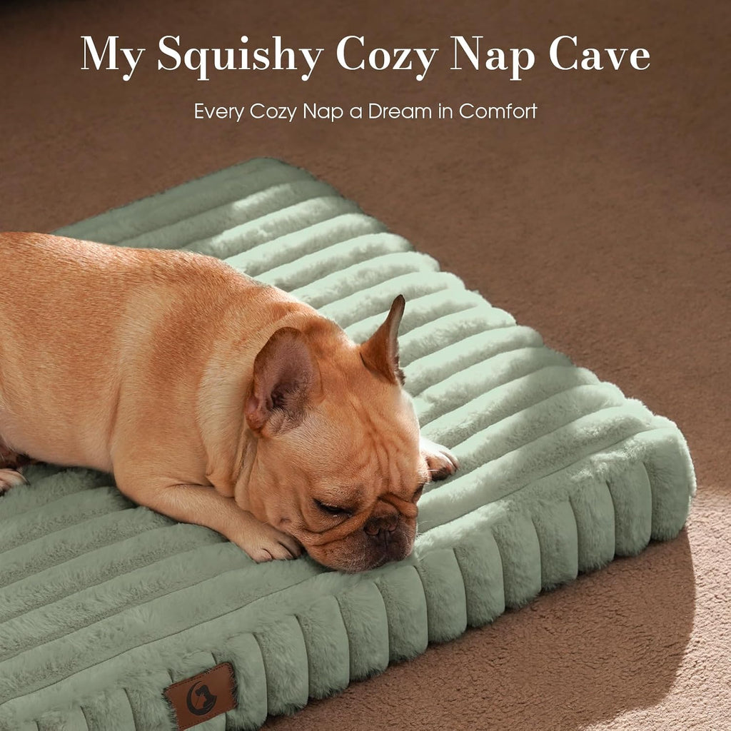 Extra Large Dog Bed Orthopedic Foam with Waterproof Lining