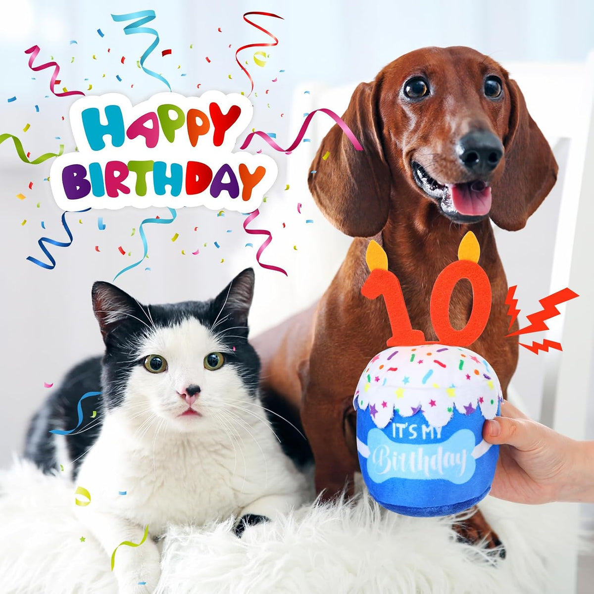 Dansydaisy Dog Birthday Cake Toy Squeaky Plush Gift,10th,Blue | Interactive Squeaky Gift for Dogs, Dog Birthday Decor , Soft Chew for Small Medium Large Pets, Cake Design with Candle