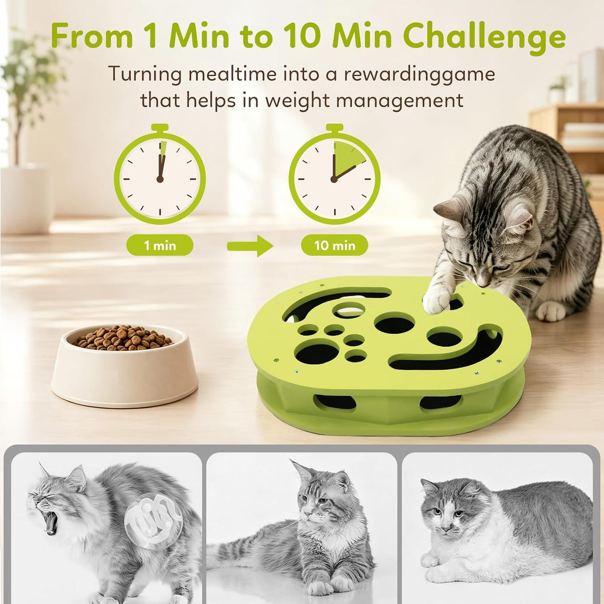 【Large&Thicken Oak 】Cat Nail File Scratcher Puzzle Box,High-Density Furniture Grade Oak,Porous Design,Stimulate Cat Exploratory &Slow Down Eat Speed;Built In Frosted Paper,Polish Their Nail While Play