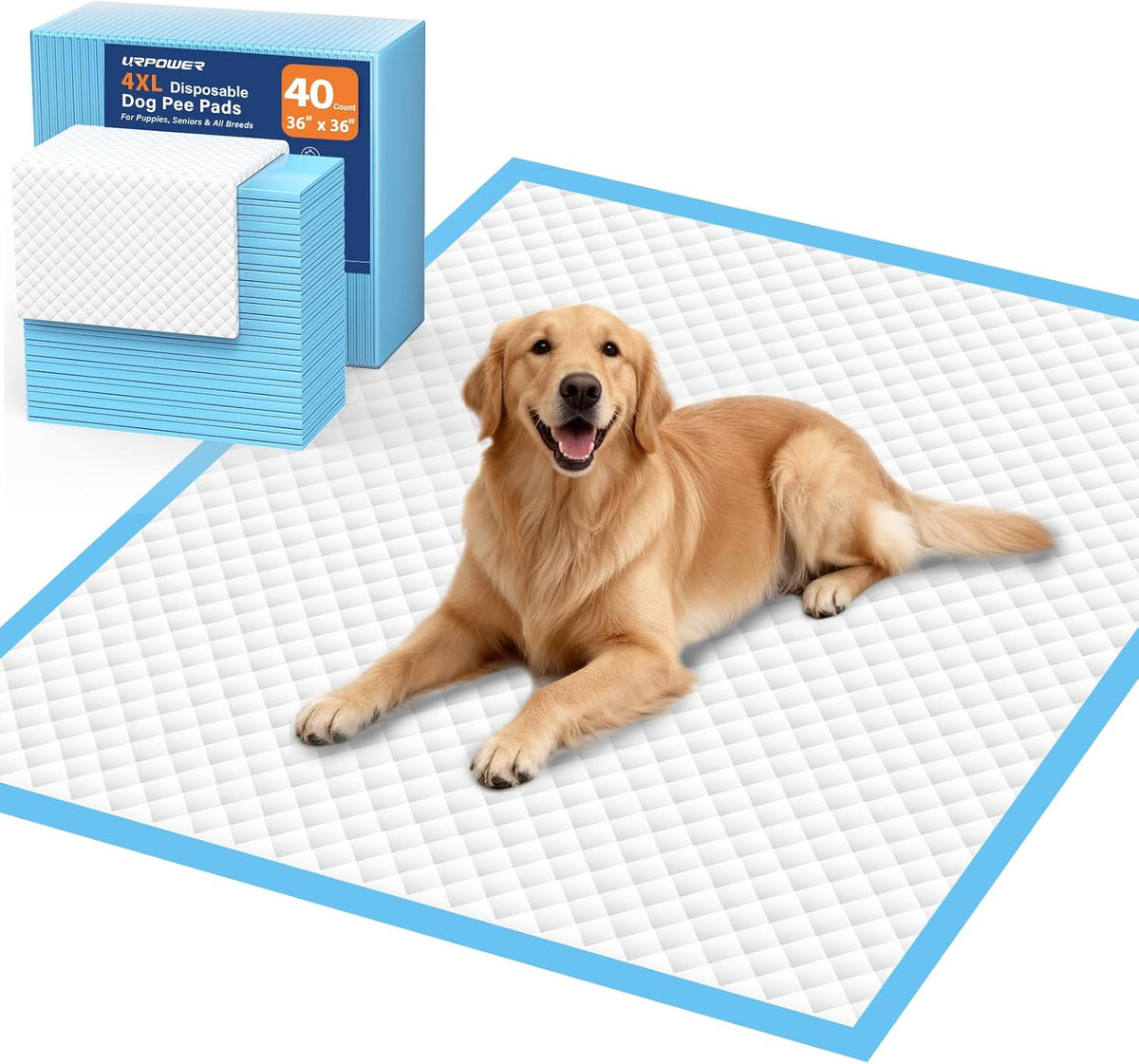 URPOWER Extra Large Dog Pee Pads 36" x 36", 4XL Puppy Pads, 40 Count | Oversized Coverage, Holds Up to 10 Cups, Leak-Proof, 6-Layer Protection, Disposable, Puppy Training, Incontinence Care