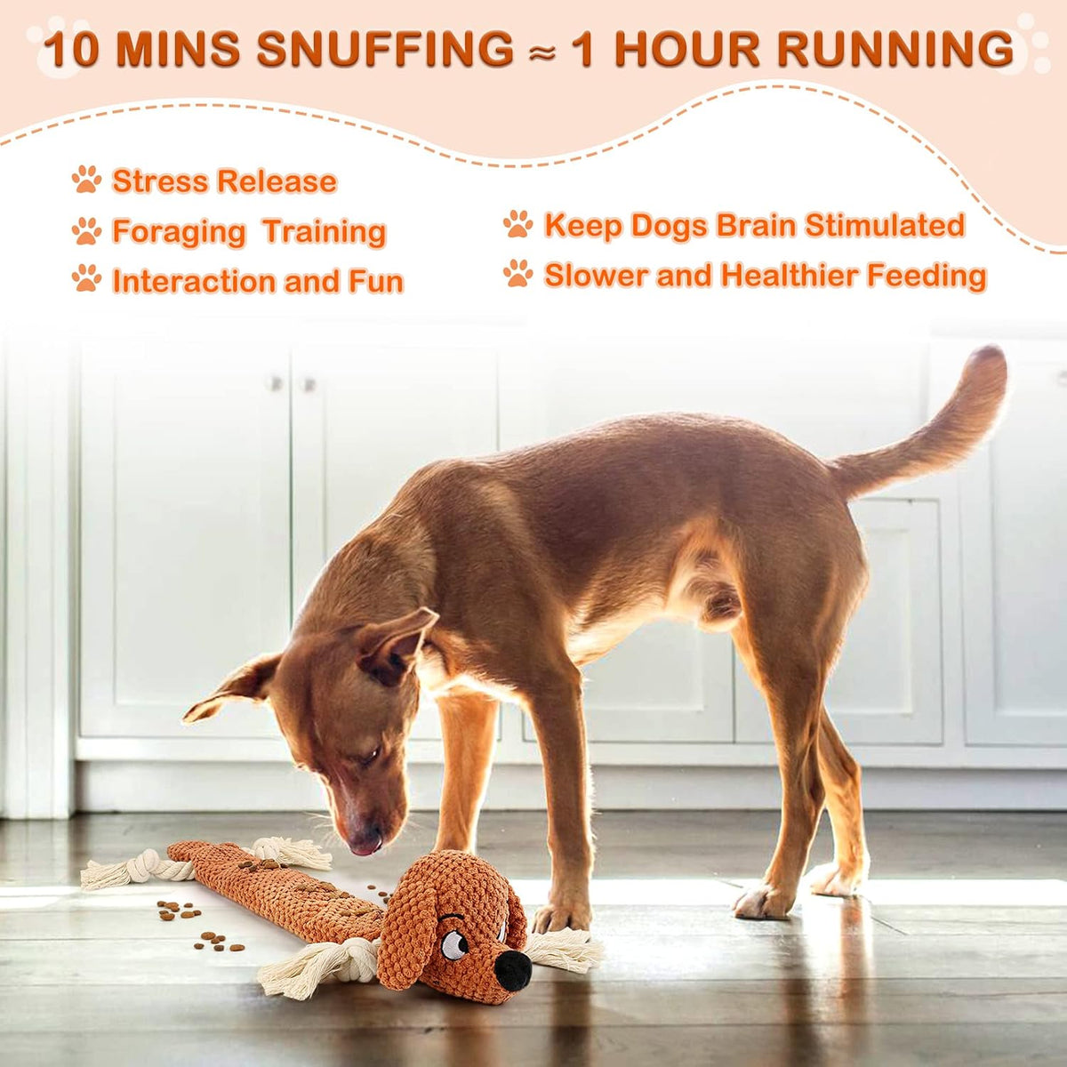 Letsmeet Dog Toys,Squeaky Dog Chew Toy with Crinkle Paper,Interactive Tough Plush Rope Toys for Small Medium Large Dogs with Gift Boxes