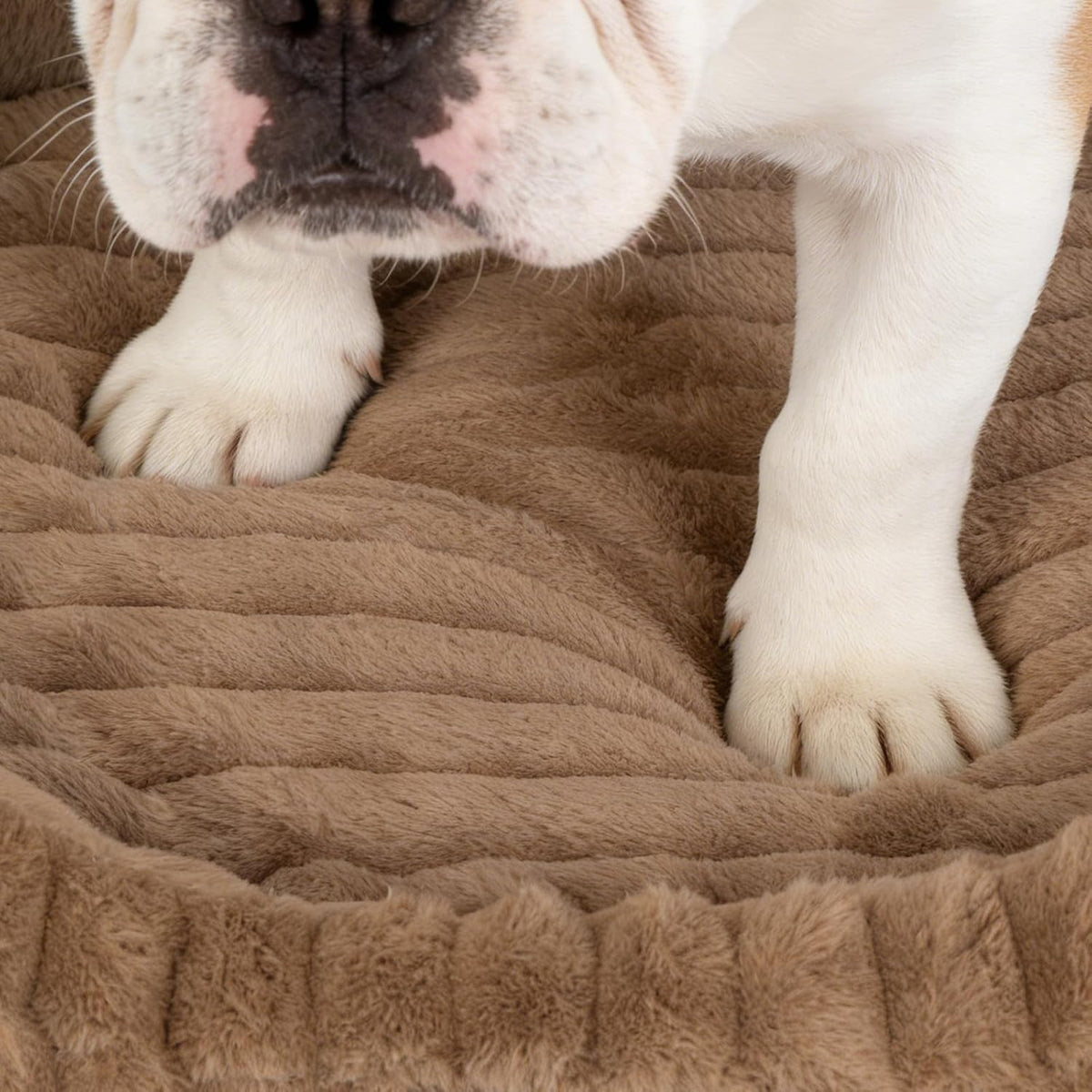 Orthopedic Dog Bed, Hip & Joint Support Extra Large Dog Crate Pad