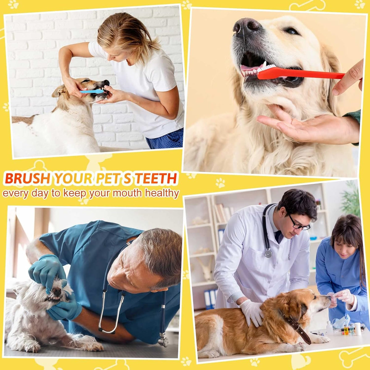 300 Pcs Pet Toothbrush Bulk, Double Sided Dog Cat Tooth Brush, 10 Colors | Soft Bristles, Long Handle, Small Dog Puppy Teeth Cleaning, Bulk Dog Toothbrush Set