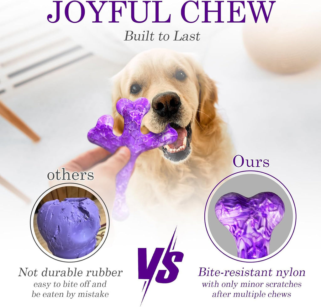 Frienhund 4 Pack (Cactus) Indestructible Tough Dog Toys for Aggressive Chewers: Beef Flavored Chew Bone for Large Dogs 20-90 lbs, Long Lasting & Keep Them Busy