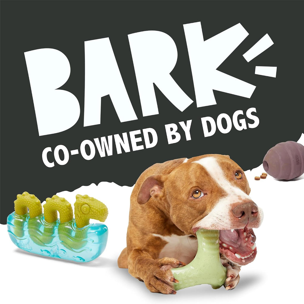BarkBox Sven the Hedgie Rubber Dog Toy - Toy for Small Dogs | Squeaky Natural Rubber Chew Toy with Soft Spike Textures | Durable