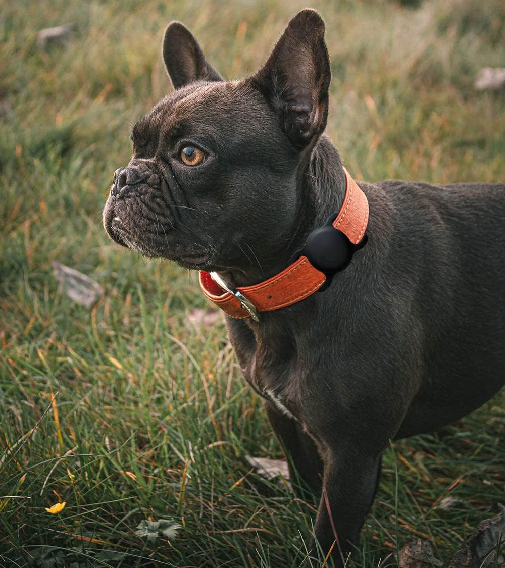 for AirTag Dog Collar Holder Soft Air Tag Holder(Yellow&Black)