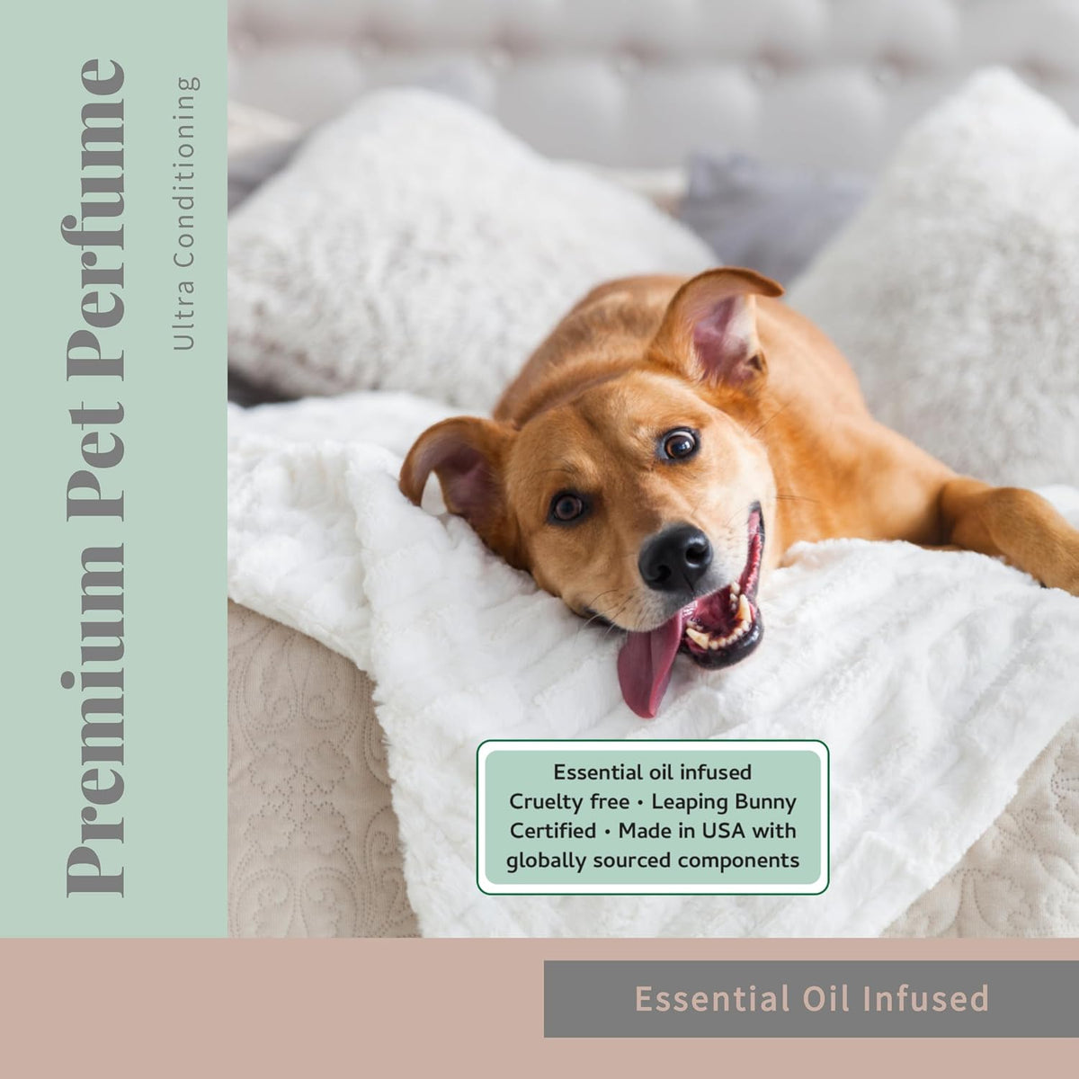 Begley's Pet Cologne and Deodorizer - Premium Essential Oil Dog Perfume Spray Long Lasting and Pet Odor Eliminator - Cat Perfume and Dog Cologne Spray - Peppermint - 4 oz